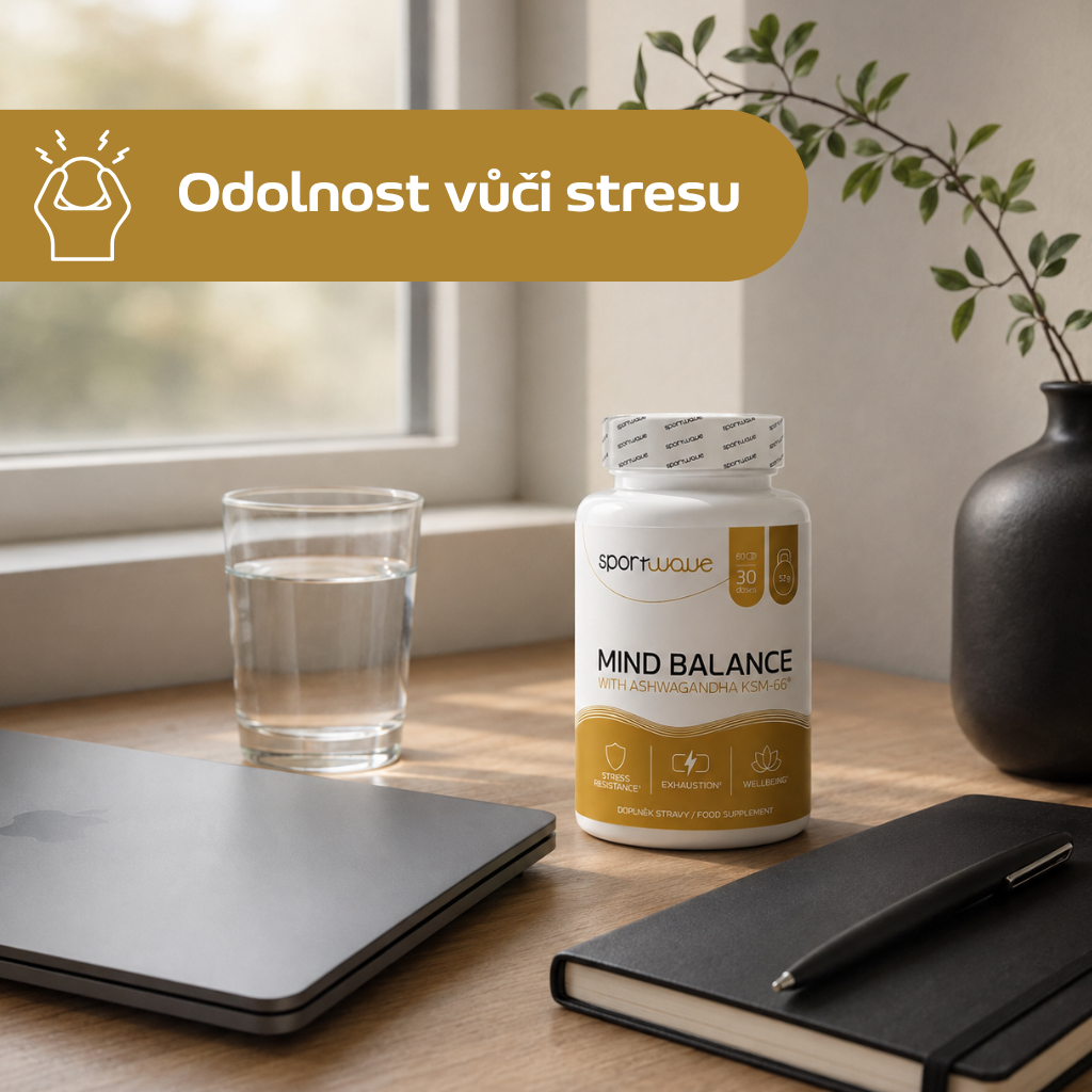 mind balance lifestyle